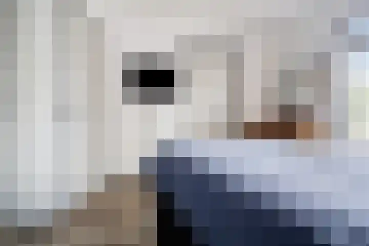 Droge Wijmersweg 5 250 Wervershoof thumbnail 44