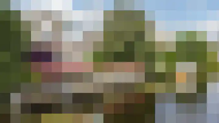 Droge Wijmersweg 5 250 Wervershoof thumbnail 5