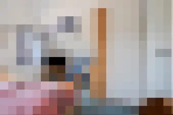 Droge Wijmersweg 5 250 Wervershoof thumbnail 51