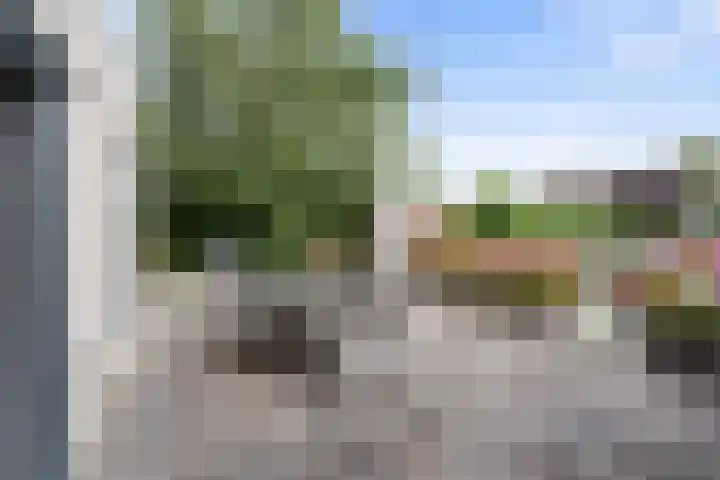 Droge Wijmersweg 5 250 Wervershoof thumbnail 57