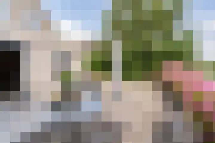Droge Wijmersweg 5 250 Wervershoof thumbnail 60