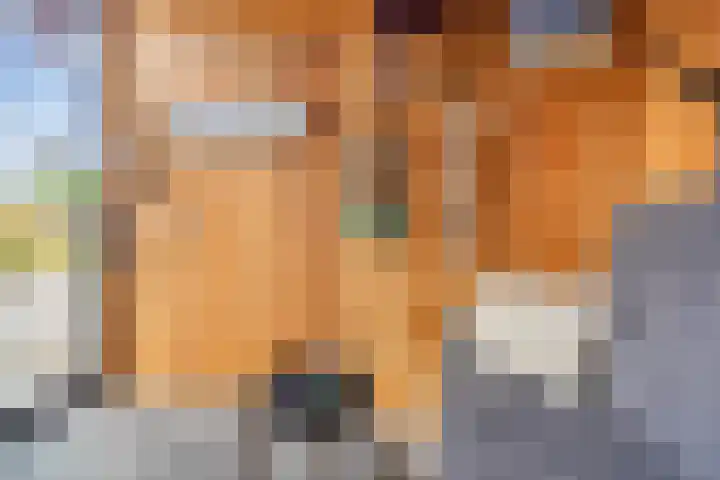 Droge Wijmersweg 5 250 Wervershoof thumbnail 62