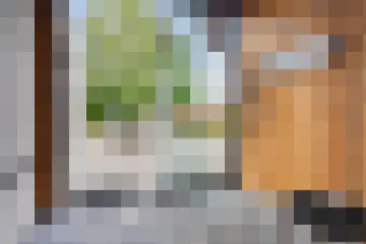 Droge Wijmersweg 5 250 Wervershoof thumbnail 63