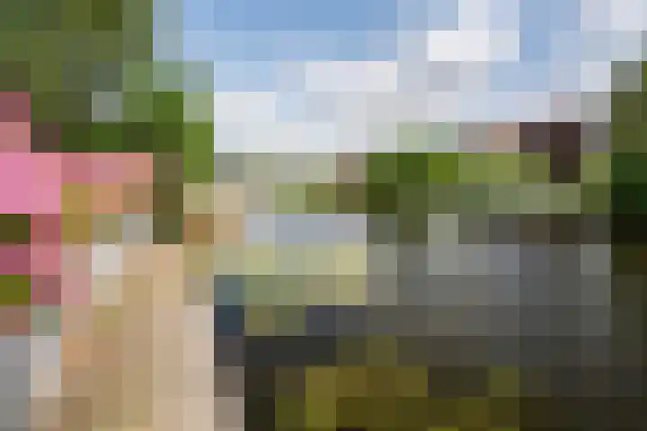 Droge Wijmersweg 5 250 Wervershoof thumbnail 64