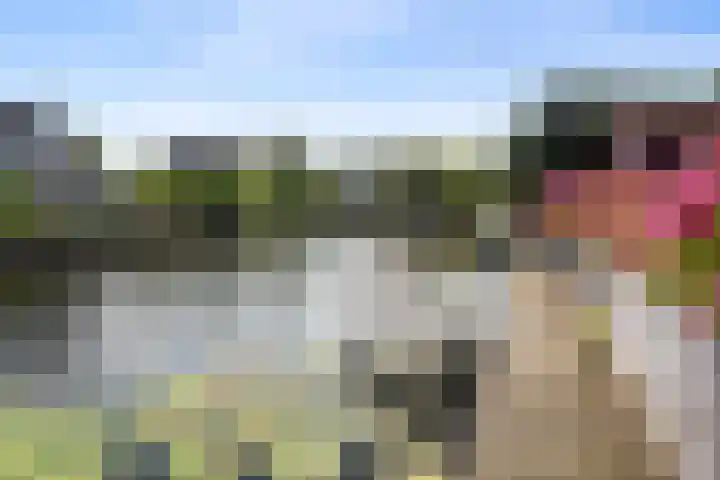 Droge Wijmersweg 5 250 Wervershoof thumbnail 65