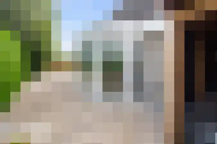 Droge Wijmersweg 5 250 Wervershoof thumbnail 69