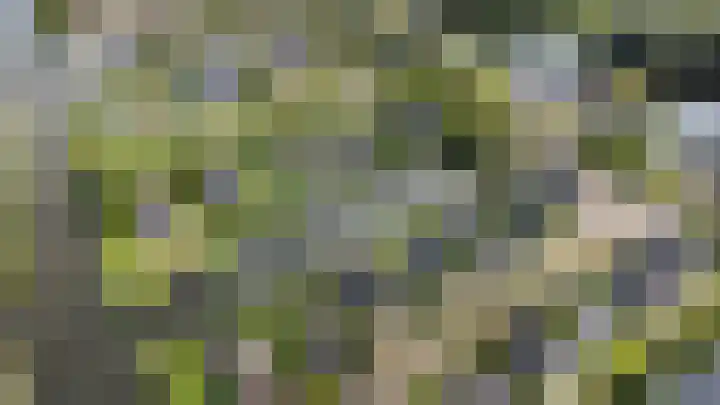 Droge Wijmersweg 5 250 Wervershoof thumbnail 7