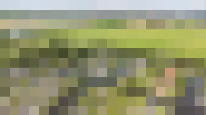 Droge Wijmersweg 5 250 Wervershoof thumbnail 71