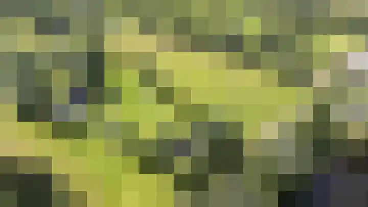 Droge Wijmersweg 5 250 Wervershoof thumbnail 72