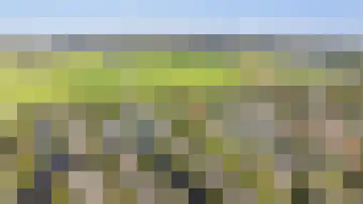 Droge Wijmersweg 5 250 Wervershoof thumbnail 73