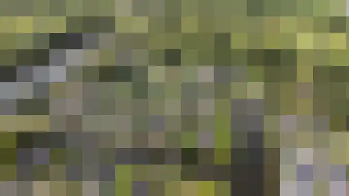 Droge Wijmersweg 5 250 Wervershoof thumbnail 8