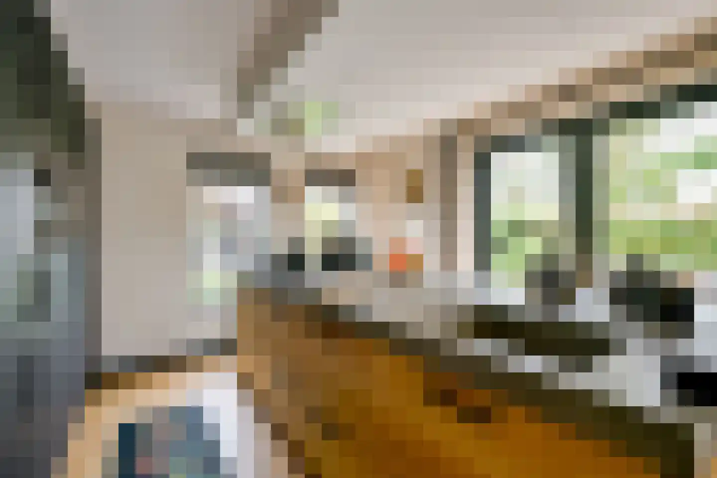 Droge Wijmersweg 5 259 Wervershoof thumbnail 13