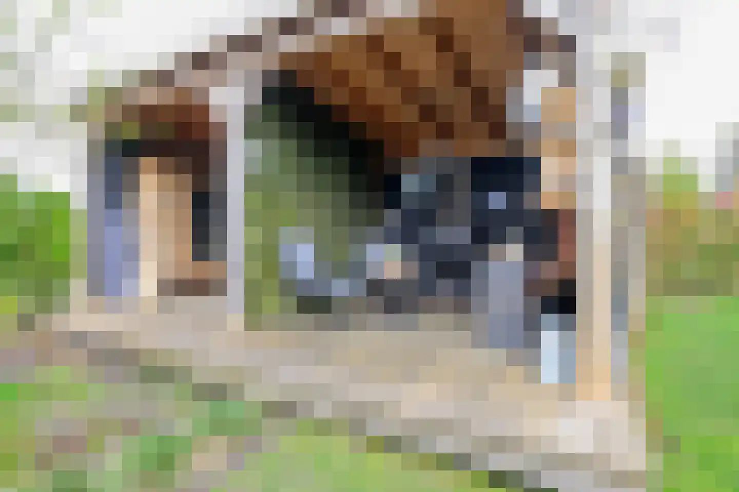 Droge Wijmersweg 5 259 Wervershoof thumbnail 50
