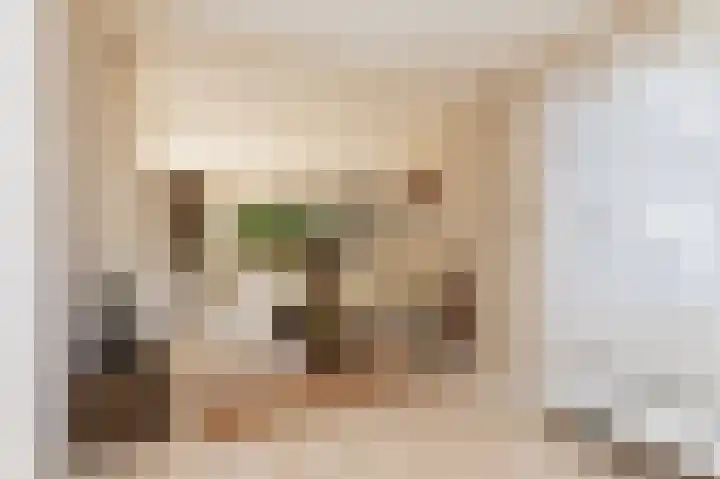 Droge Wijmersweg 5 270 Wervershoof thumbnail 12