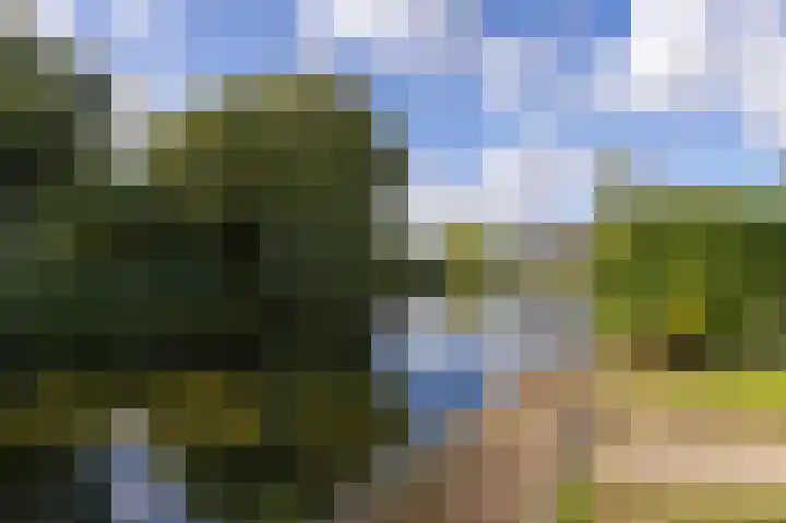 Droge Wijmersweg 5 270 Wervershoof thumbnail 23