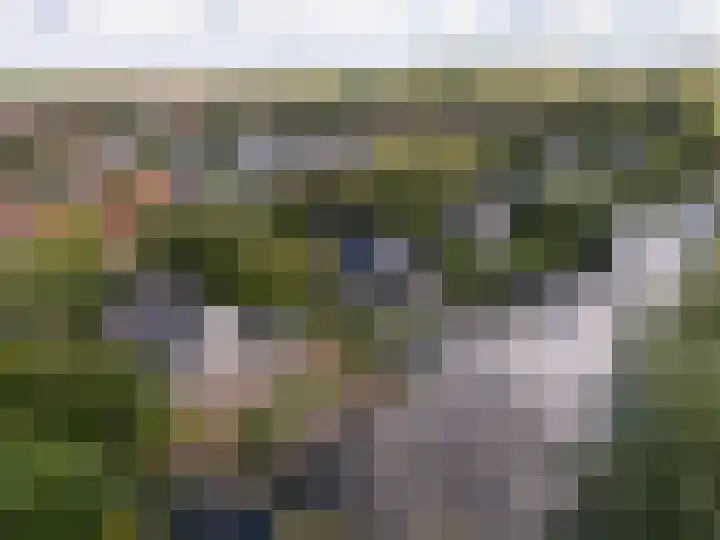 Droge Wijmersweg 5 270 Wervershoof thumbnail 34