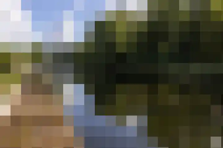 Droge Wijmersweg 5 270 Wervershoof thumbnail 35