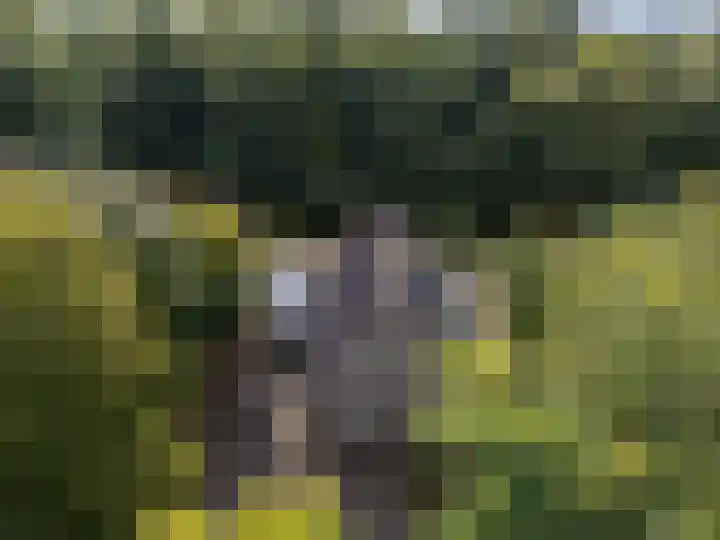Droge Wijmersweg 5 270 Wervershoof thumbnail 6