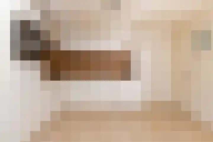 Droge Wijmersweg 5 270 Wervershoof thumbnail 9