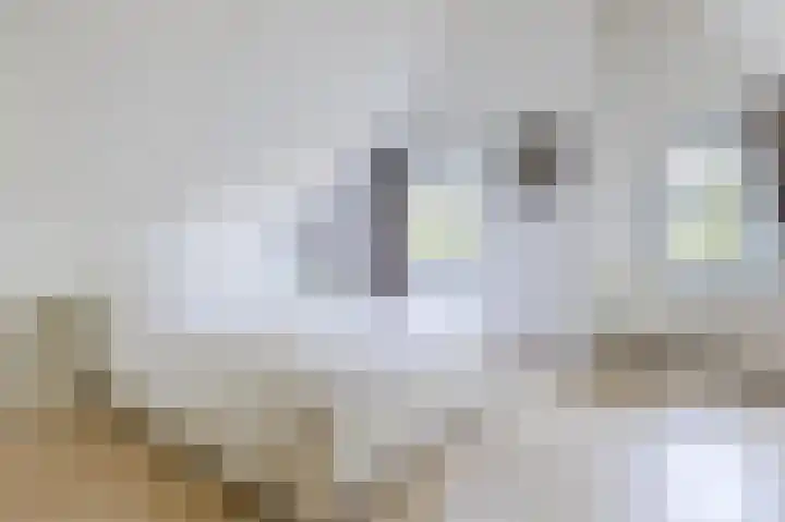Droge Wijmersweg 5 275 Wervershoof thumbnail 17