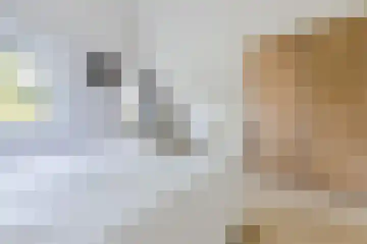 Droge Wijmersweg 5 275 Wervershoof thumbnail 18