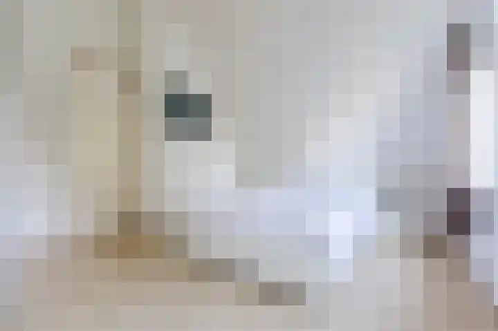 Droge Wijmersweg 5 275 Wervershoof thumbnail 19