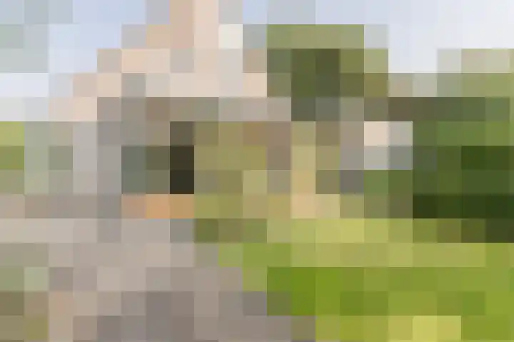 Droge Wijmersweg 5 275 Wervershoof thumbnail 22