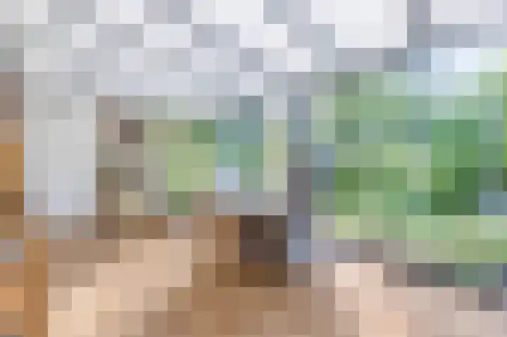 Droge Wijmersweg 5 275 Wervershoof thumbnail 24
