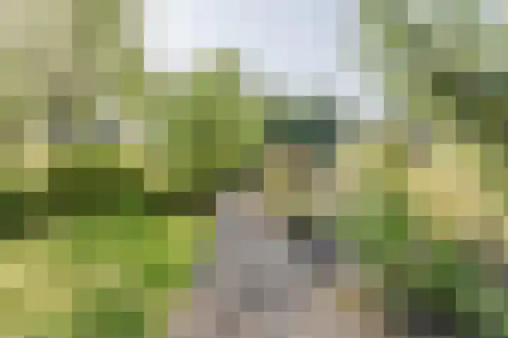 Droge Wijmersweg 5 275 Wervershoof thumbnail 26