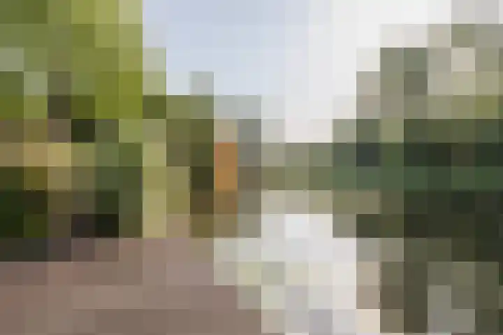 Droge Wijmersweg 5 275 Wervershoof thumbnail 27