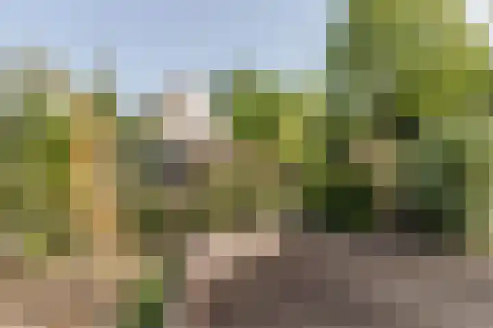 Droge Wijmersweg 5 275 Wervershoof thumbnail 29