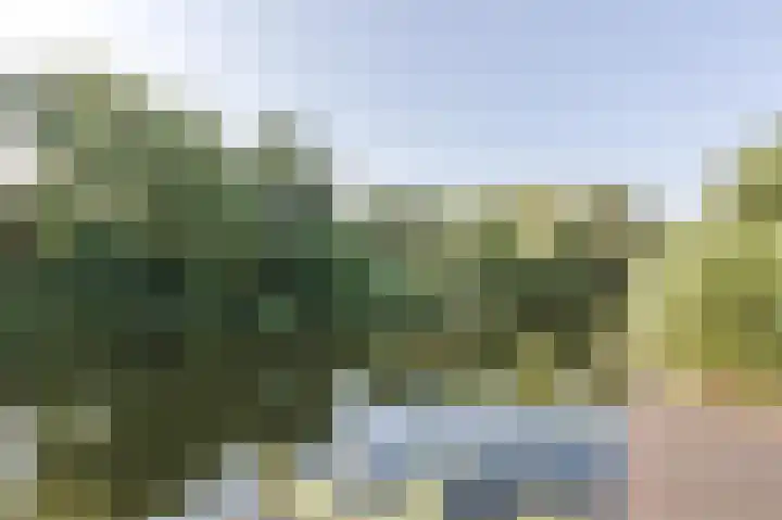 Droge Wijmersweg 5 275 Wervershoof thumbnail 30