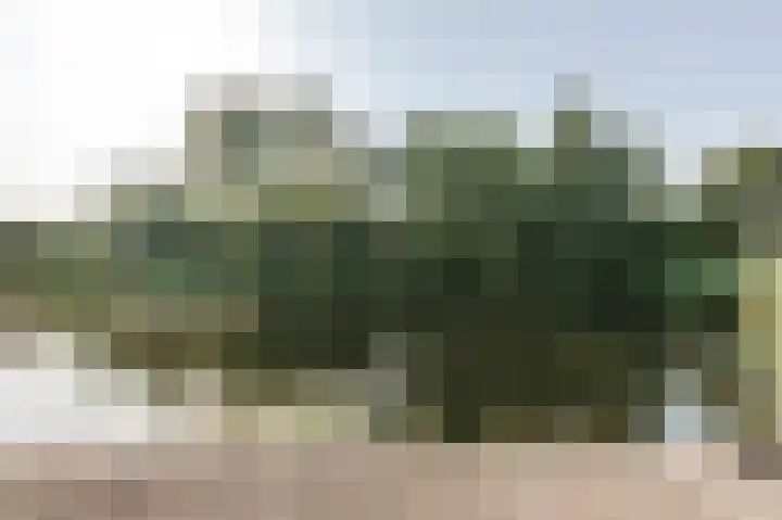 Droge Wijmersweg 5 275 Wervershoof thumbnail 31