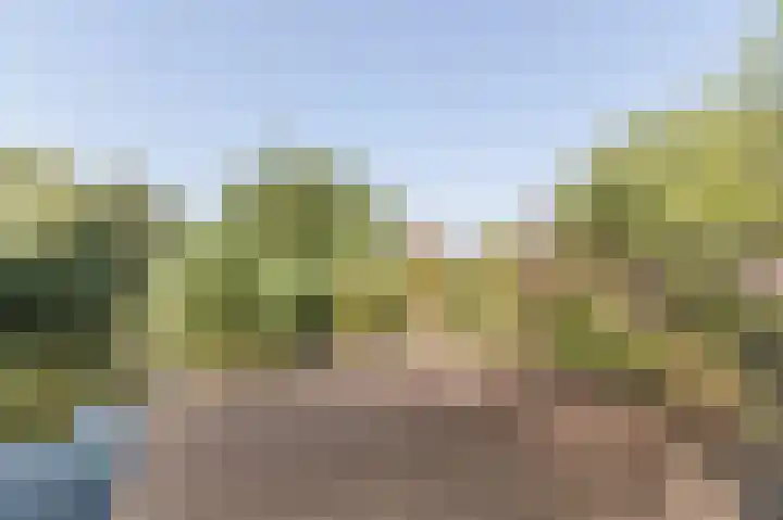 Droge Wijmersweg 5 275 Wervershoof thumbnail 32