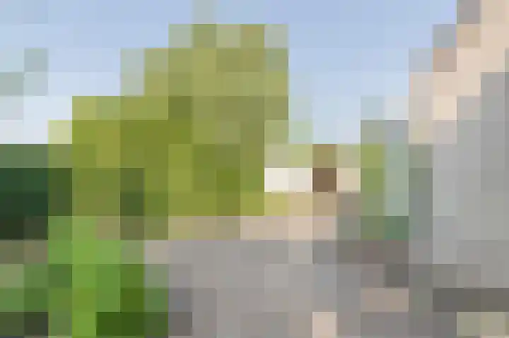Droge Wijmersweg 5 275 Wervershoof thumbnail 33