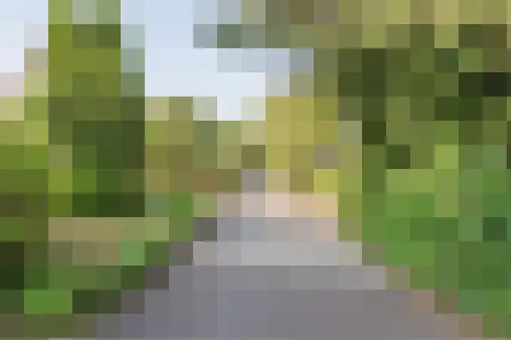 Droge Wijmersweg 5 275 Wervershoof thumbnail 36