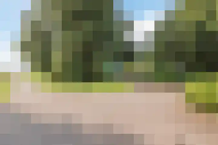 Droge Wijmersweg 5 275 Wervershoof thumbnail 37
