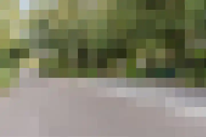 Droge Wijmersweg 5 275 Wervershoof thumbnail 39