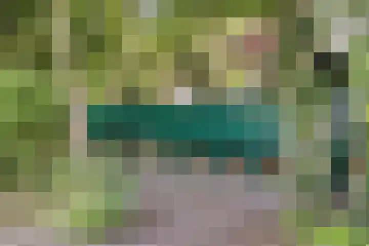 Droge Wijmersweg 5 275 Wervershoof thumbnail 40