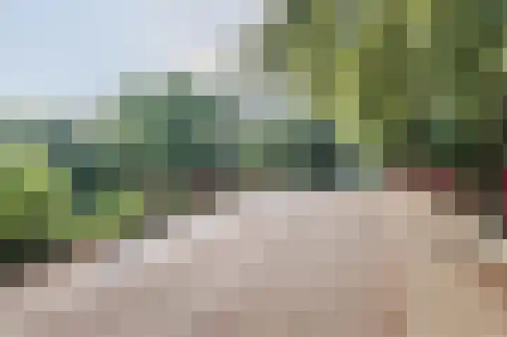 Droge Wijmersweg 5 275 Wervershoof thumbnail 41