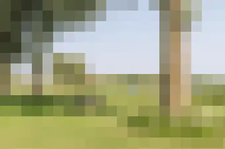 Droge Wijmersweg 5 275 Wervershoof thumbnail 44