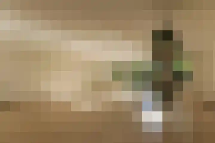 Droge Wijmersweg 5 282 Wervershoof thumbnail 15
