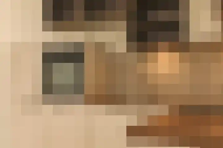 Droge Wijmersweg 5 282 Wervershoof thumbnail 16