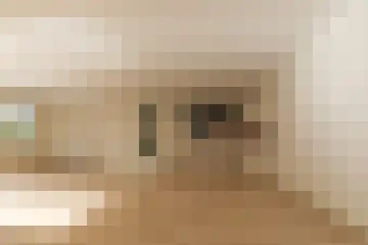 Droge Wijmersweg 5 282 Wervershoof thumbnail 17