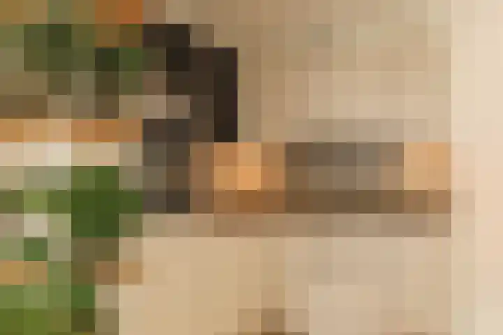 Droge Wijmersweg 5 282 Wervershoof thumbnail 18