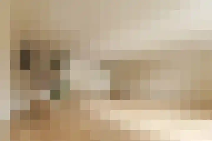 Droge Wijmersweg 5 282 Wervershoof thumbnail 22