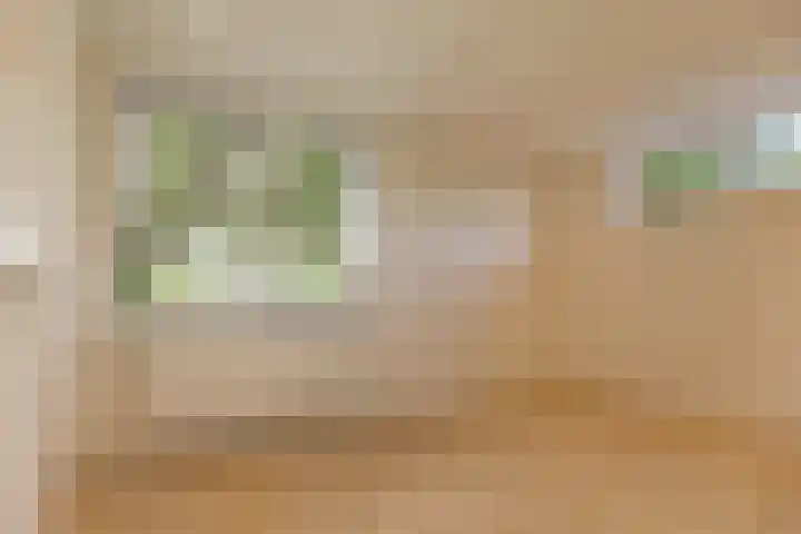 Droge Wijmersweg 5 282 Wervershoof thumbnail 25