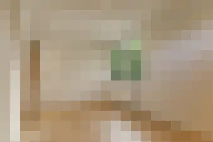 Droge Wijmersweg 5 282 Wervershoof thumbnail 26