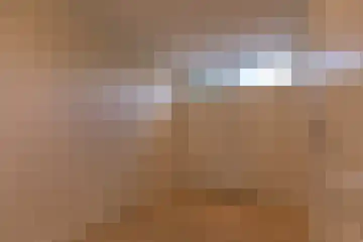 Droge Wijmersweg 5 282 Wervershoof thumbnail 29