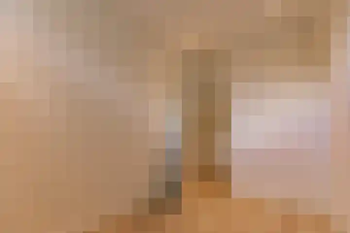 Droge Wijmersweg 5 282 Wervershoof thumbnail 30